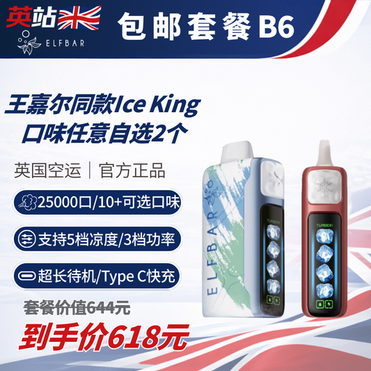 包邮套餐B6 （2x王嘉尔同款 ElfBar Ice King）